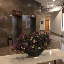 фото из отзыва ID 2010134