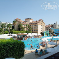 фото из отзыва ID 2010146