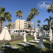 фото из отзыва ID 2010181