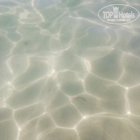 фото из отзыва ID 2010227