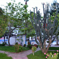 фото из отзыва ID 2010168