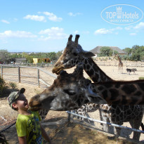 фото из отзыва ID 2010292