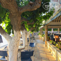 фото из отзыва ID 2010343