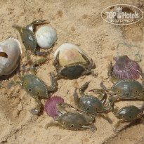 фото из отзыва ID 2010428