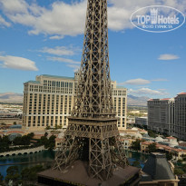 фото из отзыва ID 2010441