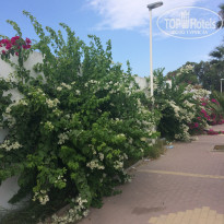 фото из отзыва ID 2010365