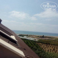 фото из отзыва ID 2010503