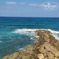 фото из отзыва ID 2010572