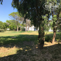 фото из отзыва ID 2010620