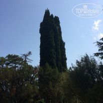 фото из отзыва ID 2010652