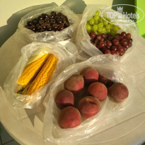 фото из отзыва ID 2010626