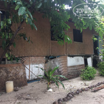 фото из отзыва ID 2010734