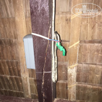 фото из отзыва ID 2010734