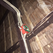 фото из отзыва ID 2010734