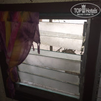 фото из отзыва ID 2010734