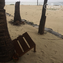 фото из отзыва ID 2010734