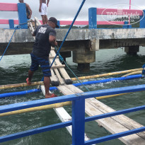 фото из отзыва ID 2010734