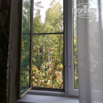 фото из отзыва ID 2010801