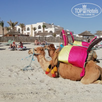 фото из отзыва ID 2010821