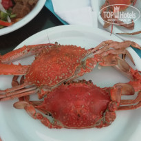 фото из отзыва ID 2010821