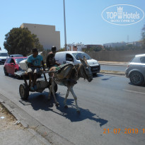 фото из отзыва ID 2010240