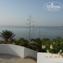 фото из отзыва ID 2010240