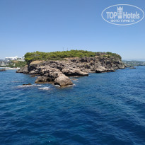 фото из отзыва ID 2011014