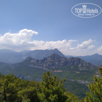 фото из отзыва ID 2011014