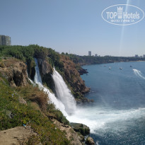 фото из отзыва ID 2011014