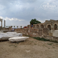 фото из отзыва ID 2011014