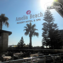 фото из отзыва ID 2011032