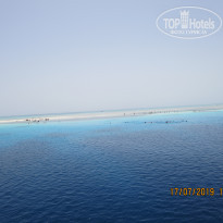 фото из отзыва ID 2011010