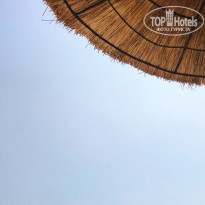 фото из отзыва ID 2011094