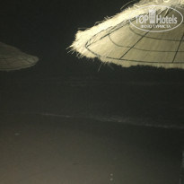 фото из отзыва ID 2011094