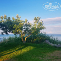 фото из отзыва ID 2011129