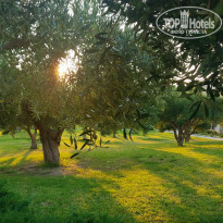 фото из отзыва ID 2011129