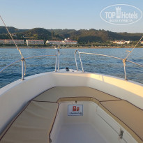 фото из отзыва ID 2011129