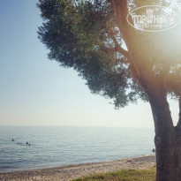 фото из отзыва ID 2011129