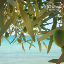 фото из отзыва ID 2011129