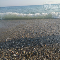 фото из отзыва ID 2011309