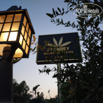 фото из отзыва ID 2011302