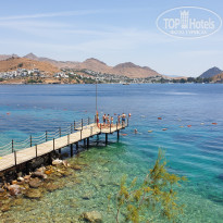 фото из отзыва ID 2011334