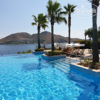 фото из отзыва ID 2011334