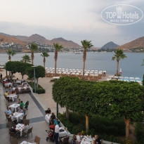 фото из отзыва ID 2011334