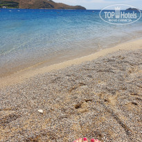 фото из отзыва ID 2011334