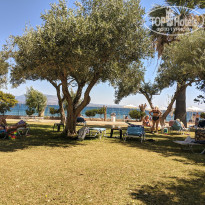 фото из отзыва ID 2011365