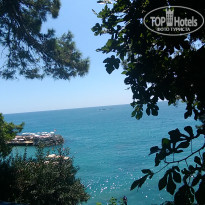 фото из отзыва ID 2011434