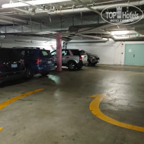 фото из отзыва ID 2011485