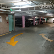 фото из отзыва ID 2011485