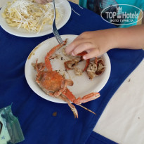 фото из отзыва ID 2011495